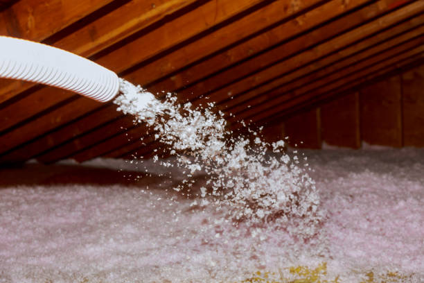 Types of Insulation We Offer in Pasatiempo, CA