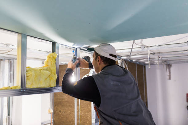 Best Fiberglass Insulation in Pasatiempo, CA