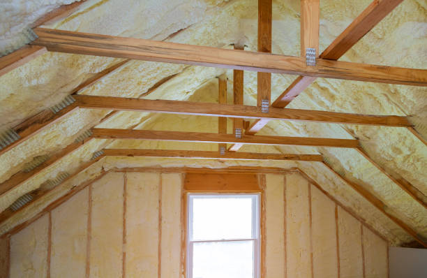 Best Geographic-Specific Insulation Services in Pasatiempo, CA